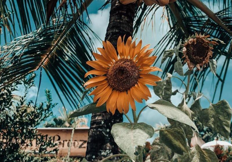 ペンション Uluwatu Breeze Village