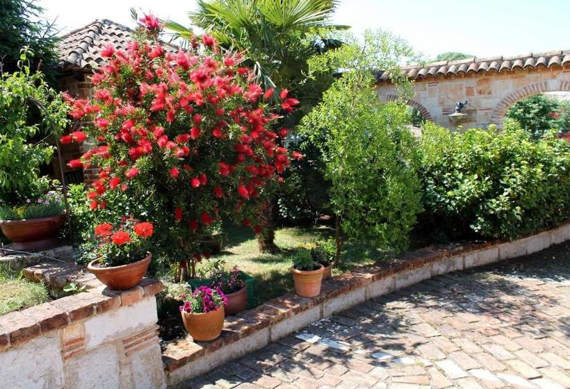 פנסיון Villa Pasis