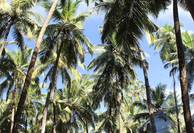 אתר נופש Palm Trees Ayurvedic Heritage