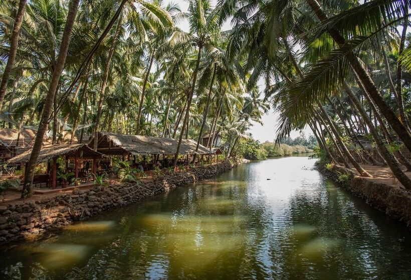 منتجع Palm Trees Ayurvedic Heritage