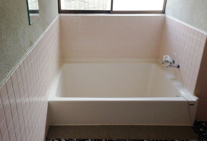 旅館 Showa Minshuku Ryujinsou