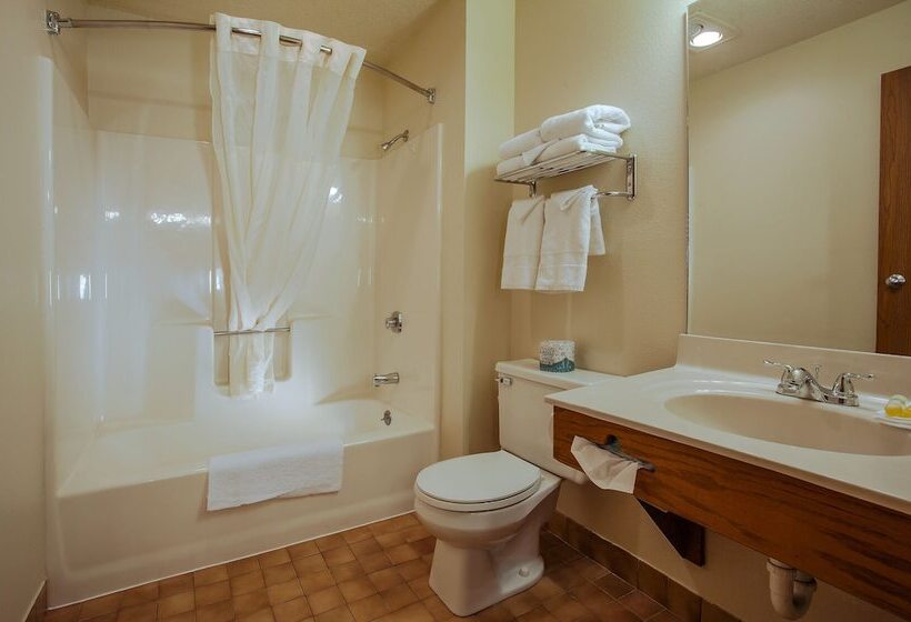 酒店 Natura Treescape Resort