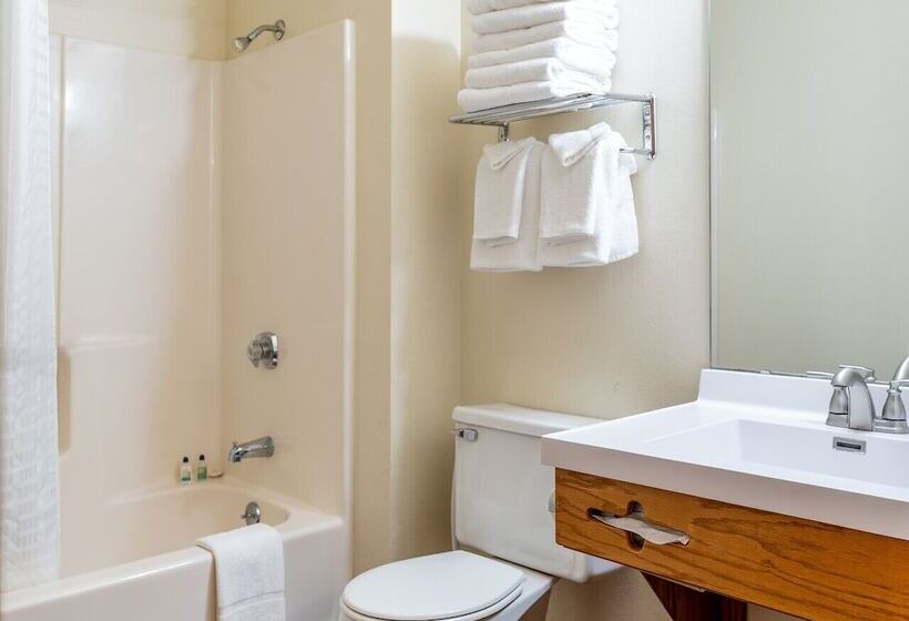 酒店 Natura Treescape Resort