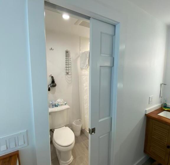 Отель Alexander Palms Court   No Hidden Resort Fees!