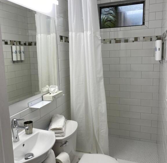 Отель Alexander Palms Court   No Hidden Resort Fees!