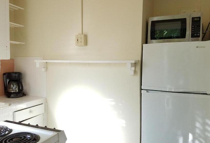 Отель Alexander Palms Court   No Hidden Resort Fees!