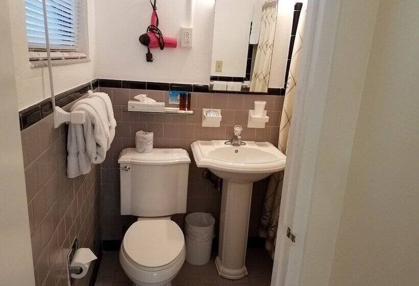 Отель Alexander Palms Court   No Hidden Resort Fees!