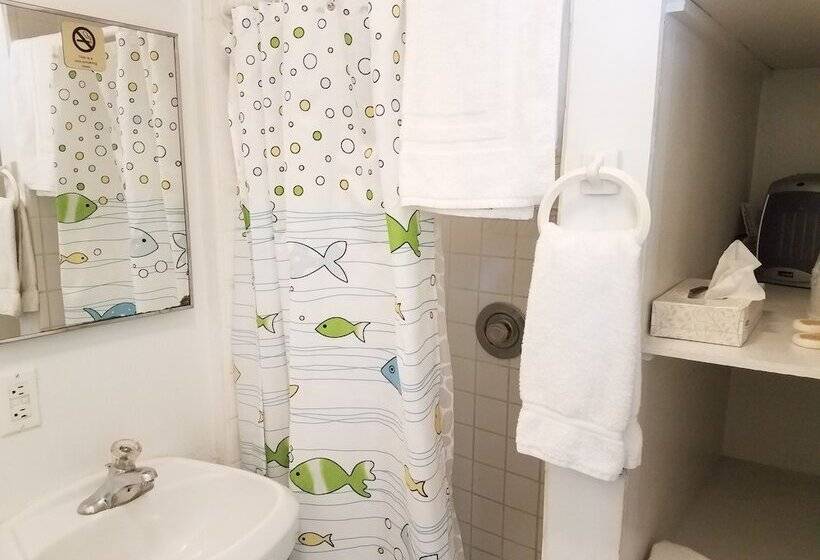 Отель Alexander Palms Court   No Hidden Resort Fees!