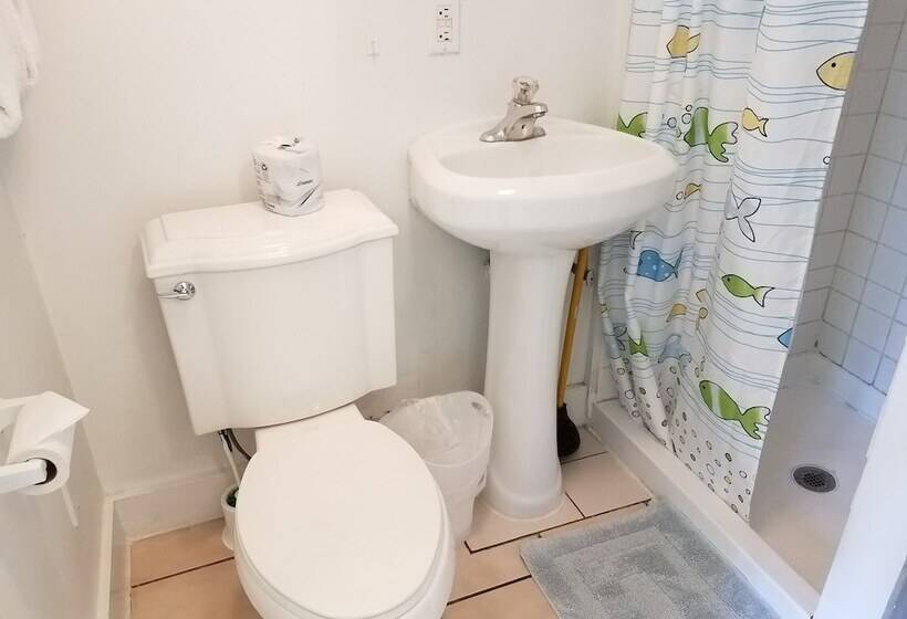 Отель Alexander Palms Court   No Hidden Resort Fees!