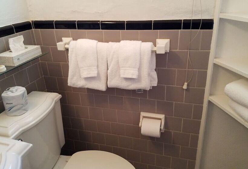 Отель Alexander Palms Court   No Hidden Resort Fees!