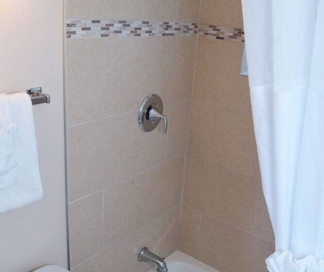 ホテル Alpine Trail Ridge Inn