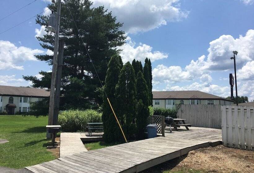 فندق Ambassador Inn