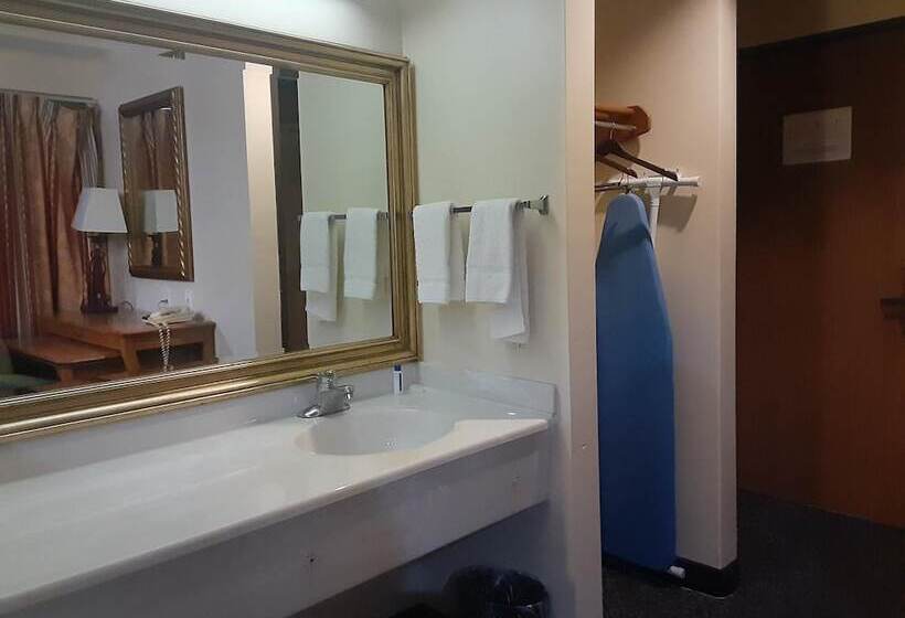 ホテル American Inn And Suites Ionia