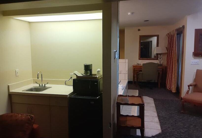 ホテル American Inn And Suites Ionia