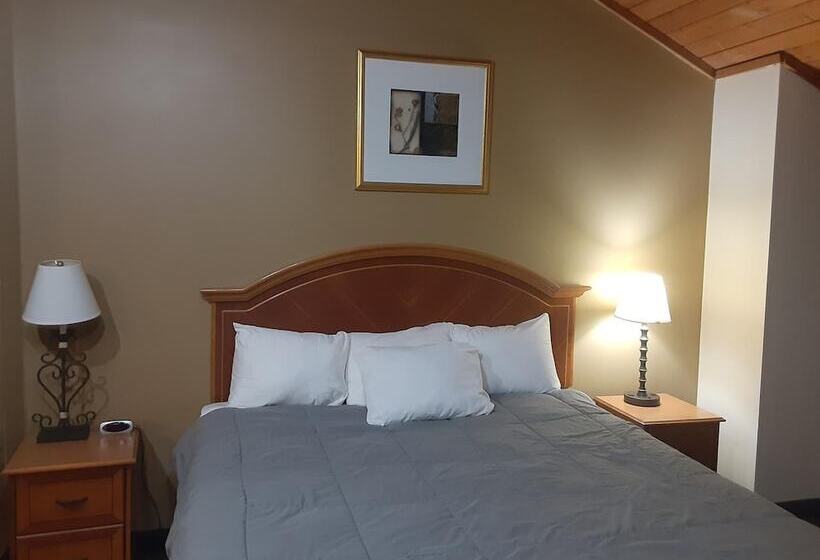 ホテル American Inn And Suites Ionia