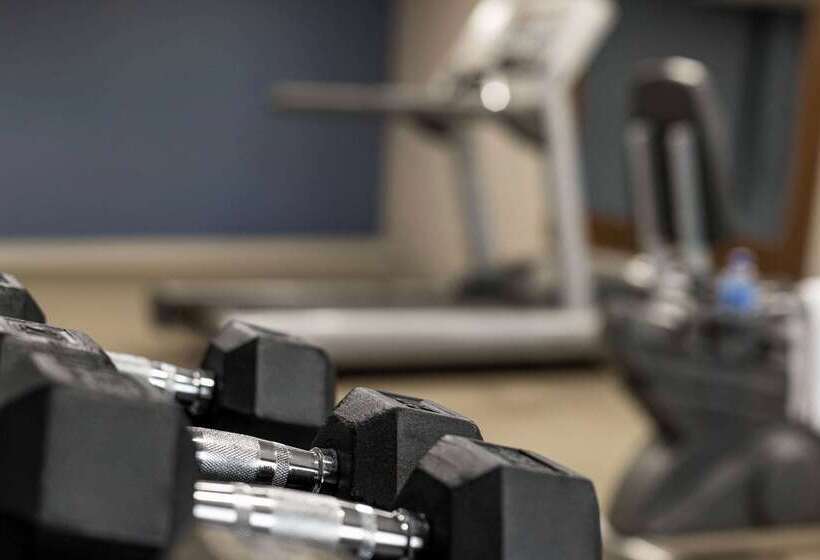 בית מלון כפרי Americinn By Wyndham Rapid City