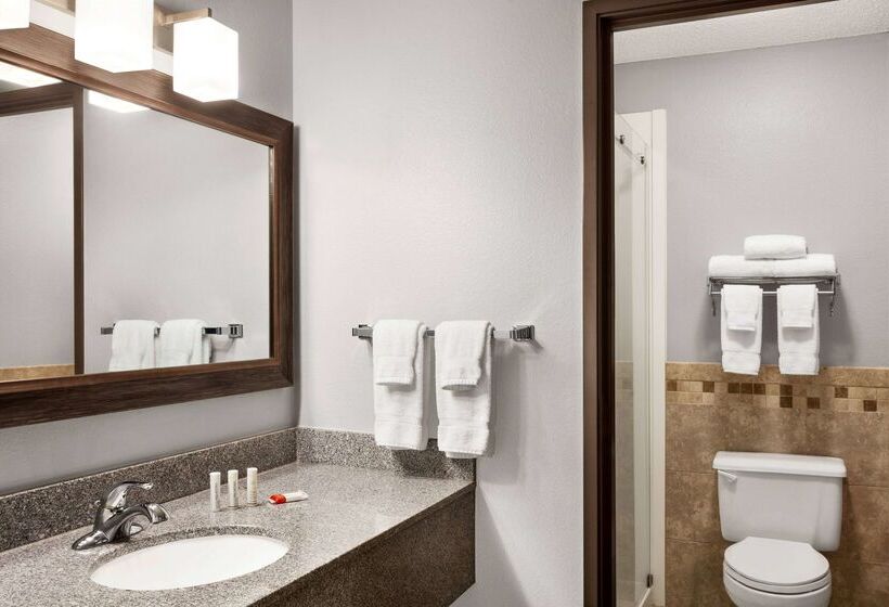 酒店 Americinn By Wyndham Sauk Centre