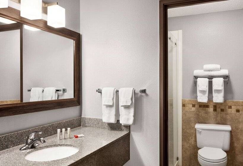 酒店 Americinn By Wyndham Sauk Centre