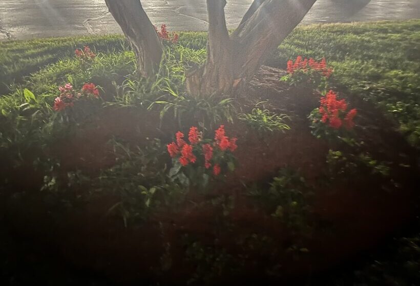 فندق Anchorage Inn Rochester