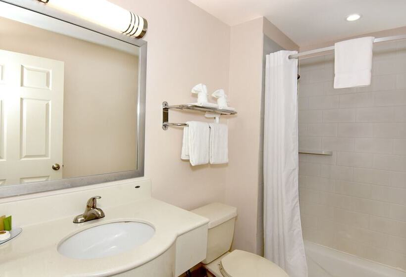 Ardsley Acres Hotel Court