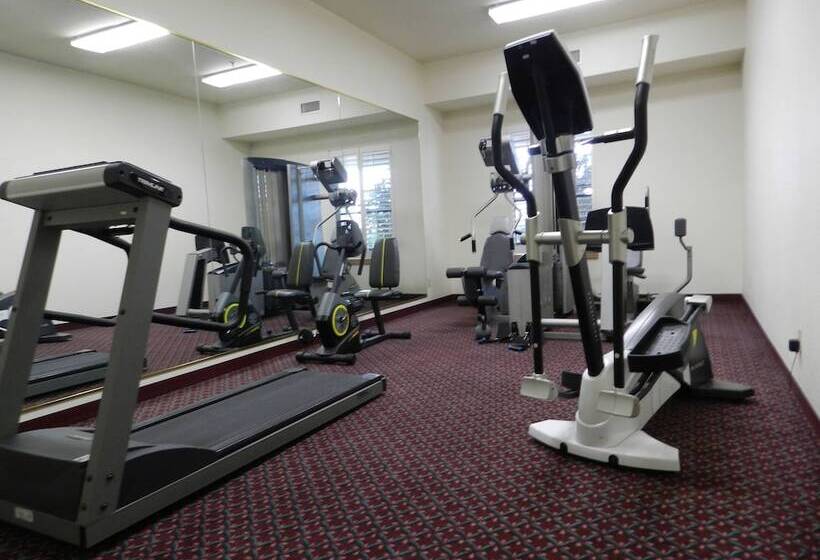 호텔 Ashmore Inn And Suites Lubbock