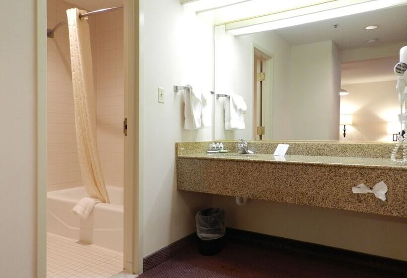 فندق Ashmore Inn And Suites Lubbock