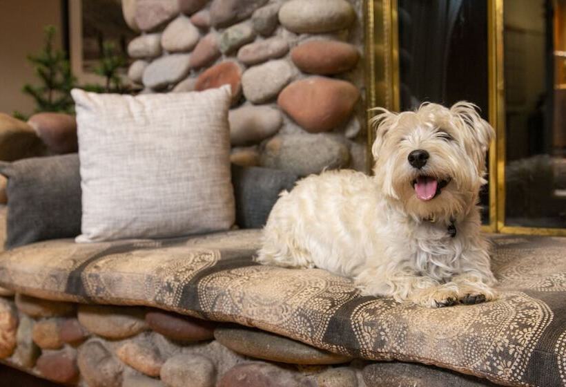 فندق Aspen Mountain Lodge