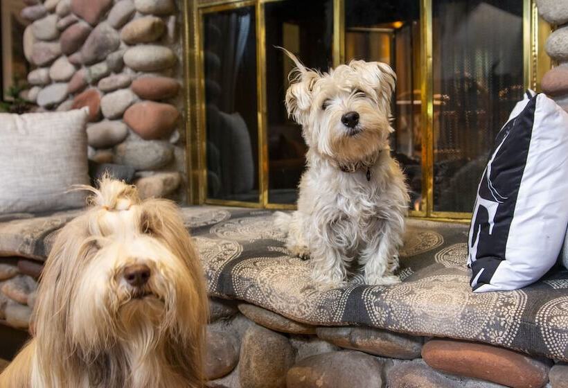 فندق Aspen Mountain Lodge