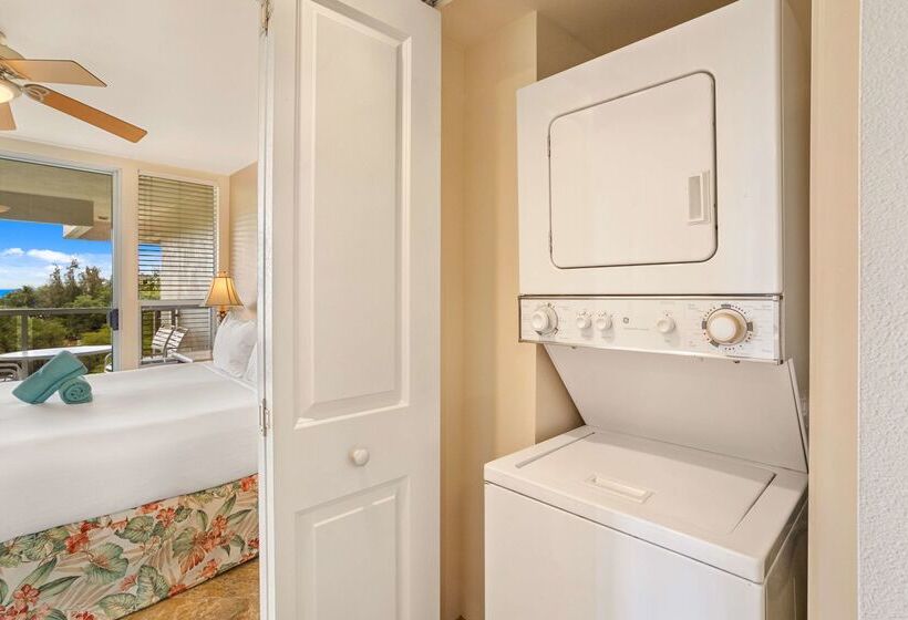 酒店 Aston At The Maui Banyan