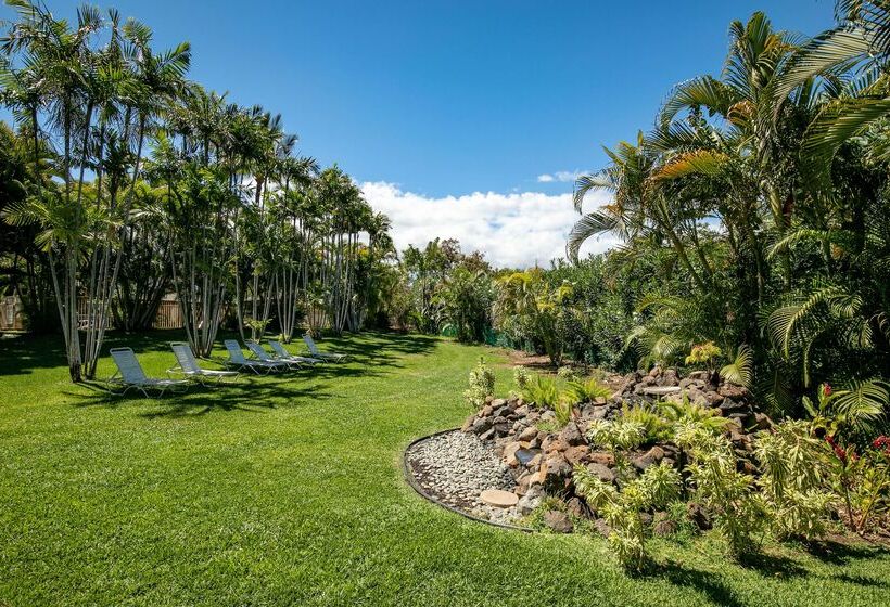 酒店 Aston At The Maui Banyan