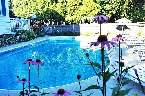 호텔 Atlantic Birches Inn