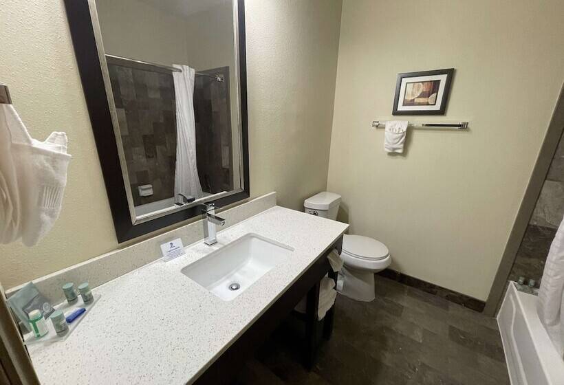 هتل Best Western Aspen