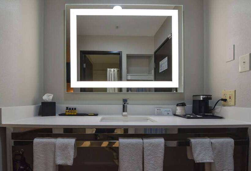 Best Western Plus Lafayette Hotel University Area