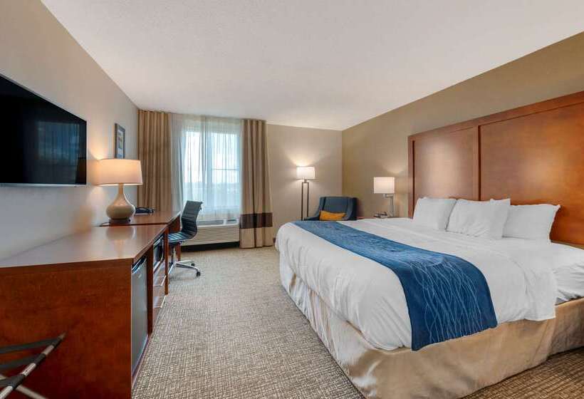 فندق Comfort Inn Anderson South