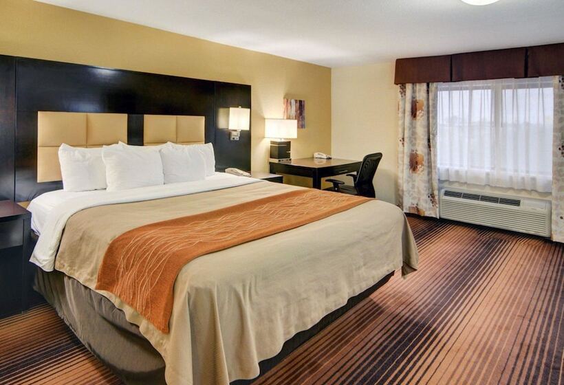 ホテル Spark By Hilton Grapevine Dfw North