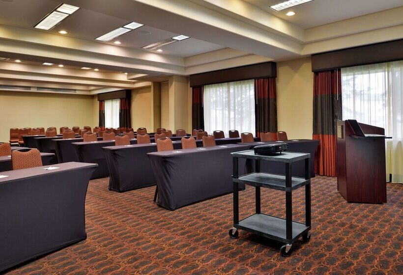 בית מלון כפרי Hampton Inn Idaho Falls/airport