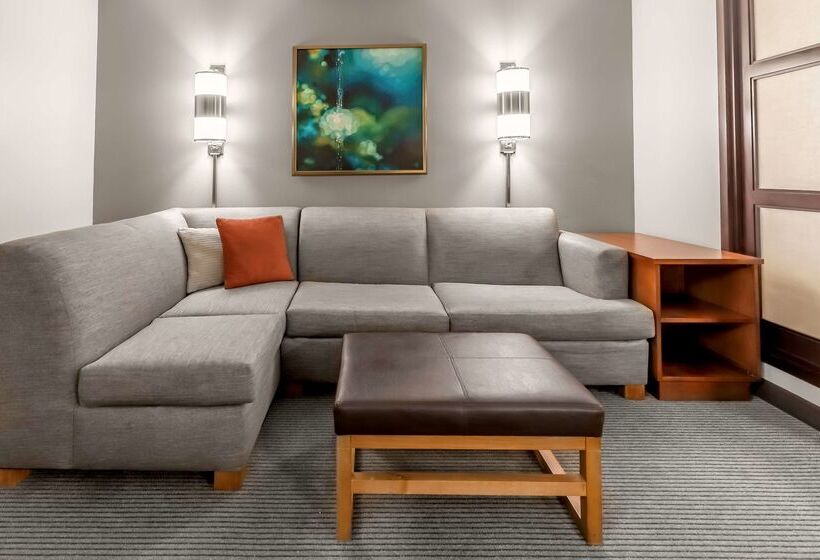 Отель Hyatt Place Charlotte Airport Billy Graham Parkway