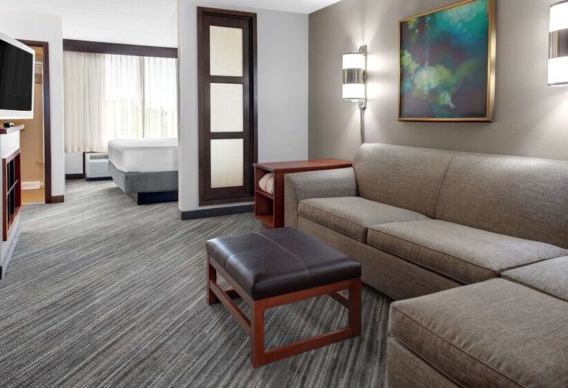 Отель Hyatt Place Chicago/itasca