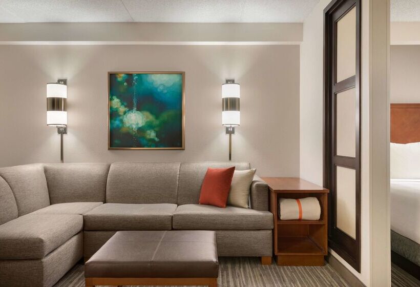 Отель Hyatt Place Chicago Schaumburg