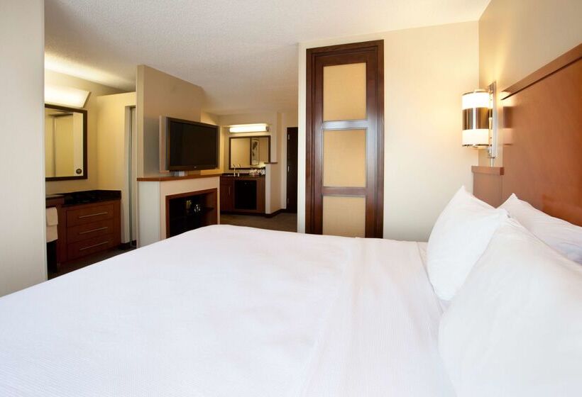 Отель Hyatt Place Dallas/arlington
