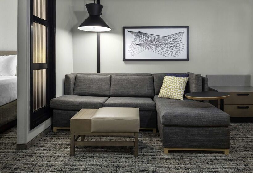 Отель Hyatt Place Dallas/arlington