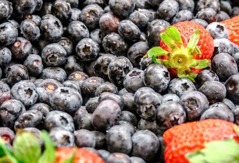 فندق Hyatt Place Minneapolis Eden Prairie