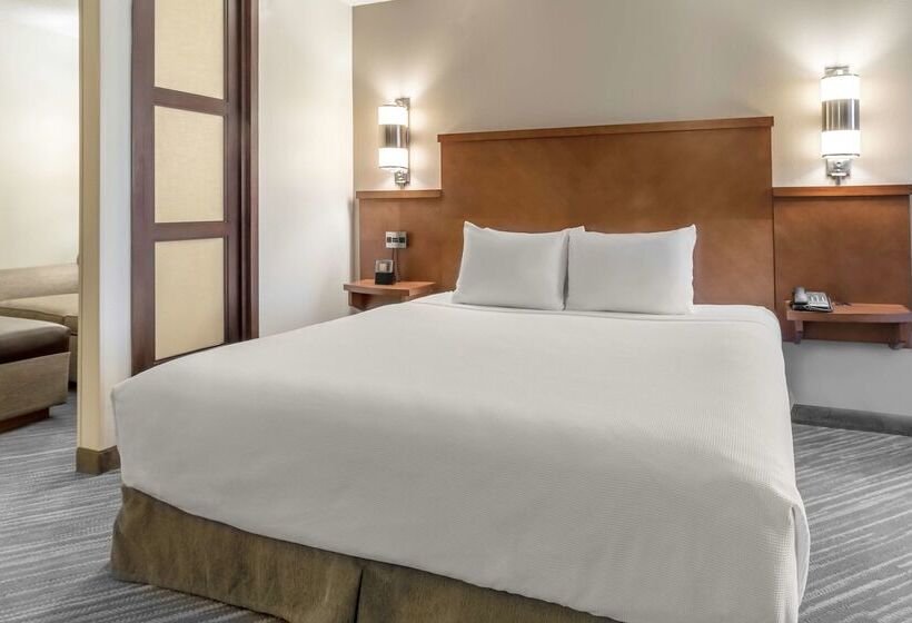 Отель Hyatt Place Richmond Arboretum