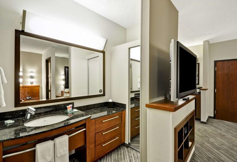 Отель Hyatt Place Tampa Airport/westshore