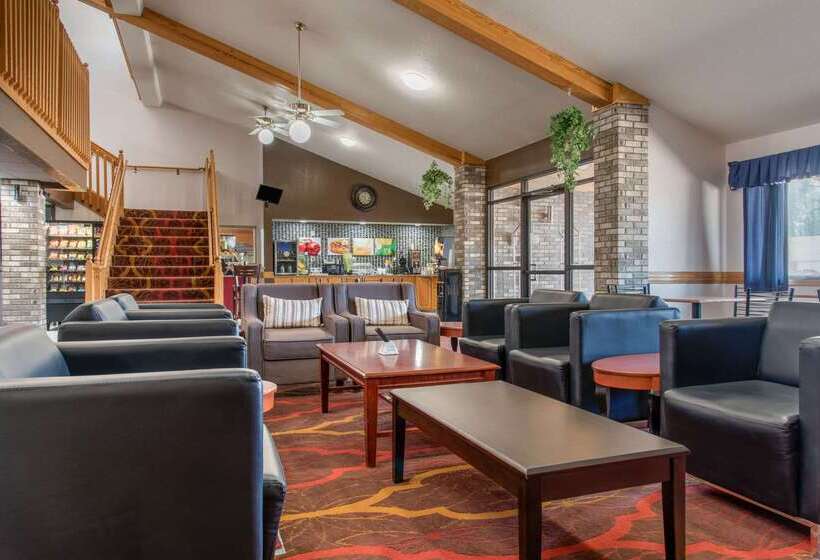 ホテル Quality Inn & Suites