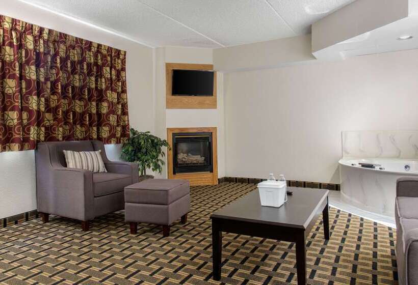 ホテル Quality Inn & Suites