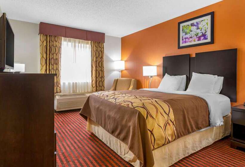 ホテル Rodeway Inn