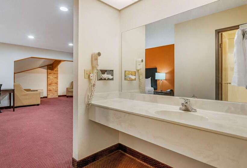 ホテル Rodeway Inn