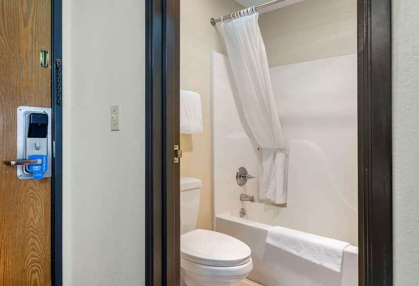 ホテル Rodeway Inn