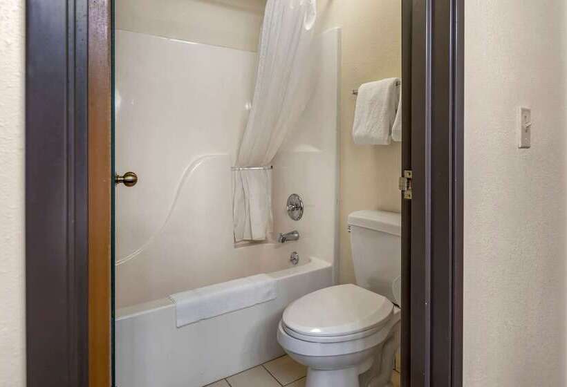 ホテル Rodeway Inn